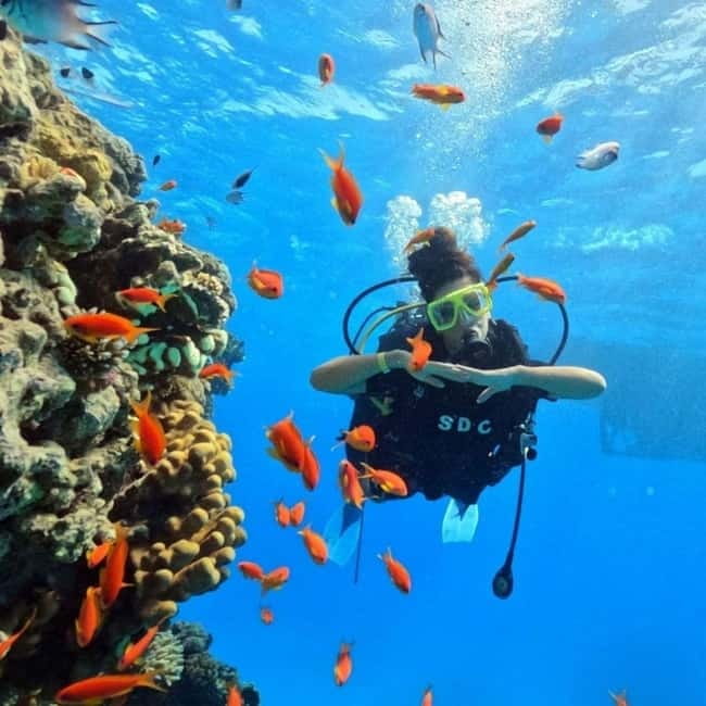 Fethiye: Fly and Dive, Paragliding and Scuba Diving Combined, Transfer Included - Key points at a glance