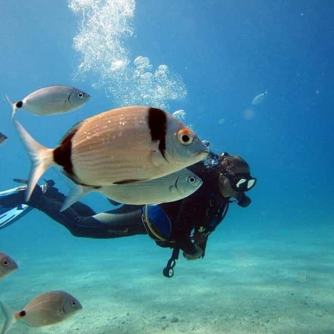 Fethiye: Fly and Dive, Paragliding and Scuba Diving Combined, Transfer Included - Two worlds in one Fethiye day