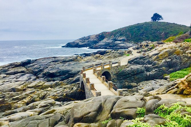 Fr STGO: WILD PENGUINS, SEALION, SANDBOARD, PARAGLIDING & PICNIC - Why this Santiago tour is more than a penguin trip