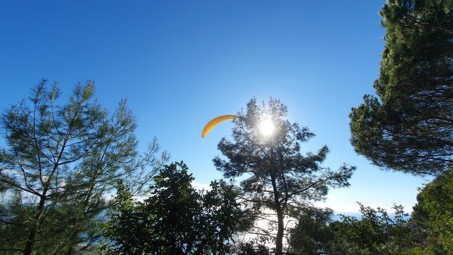 From Antalya/Alanya/Side: Paragliding Adventure - Who will enjoy this flight most?