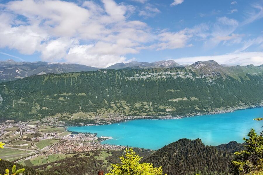 From Geneva: Paragliding and Interlaken Trip - Should you book the Interlaken paragliding trip?