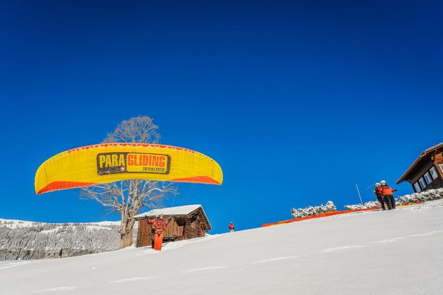 Interlaken: Tandem Paragliding Flight - Photos, pilots, and the human side of the outing