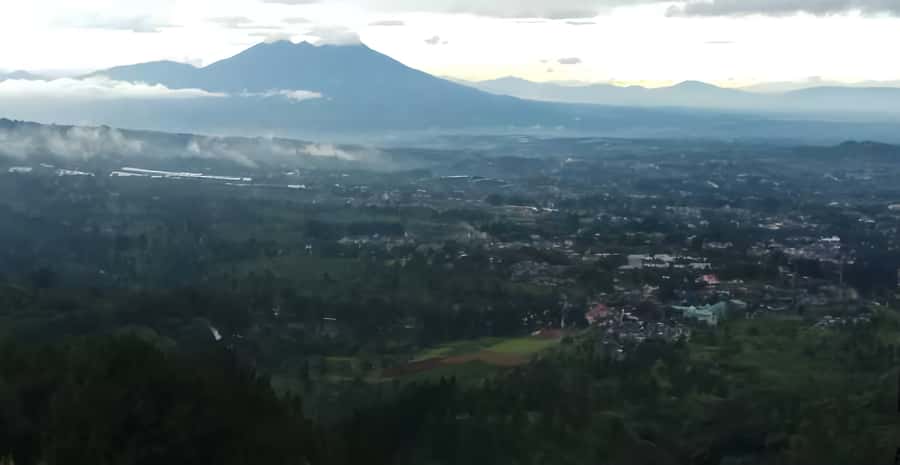 Jakarta: Paragliding on Top Mountain & Tea Plantation - The Bogor stop and the shape of the day