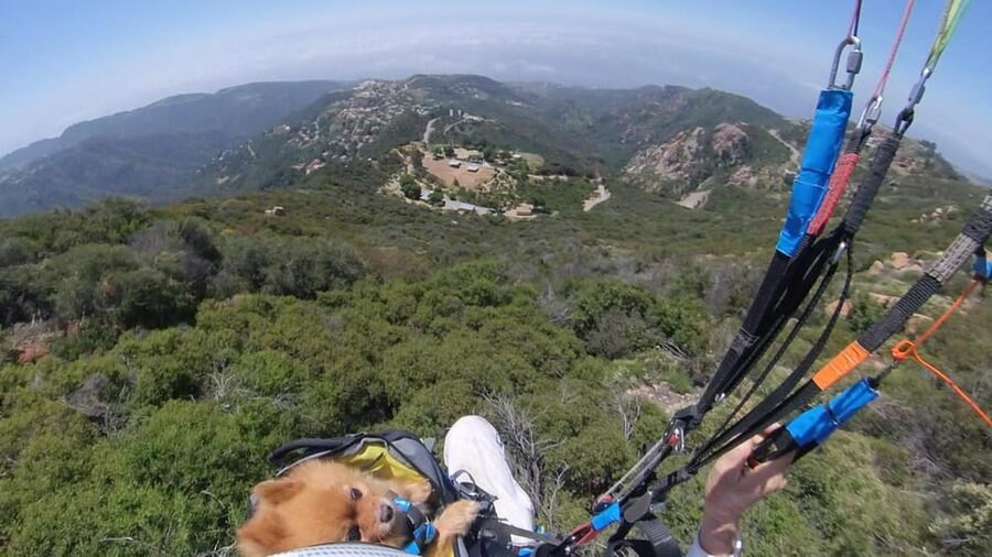 Malibu Hills to Beach: Tandem Paragliding Flight Adventure - Practical advice for a smoother flight