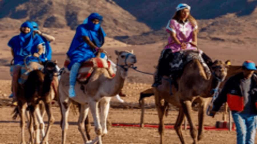 Marrakech Adventure: Paragliding, Camel Ride & Breakfast - Quick reasons to consider this adventure