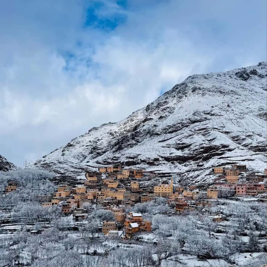 Marrakech: Paragliding, Camel Ride & Berber Villages Trip - Key points to know before booking