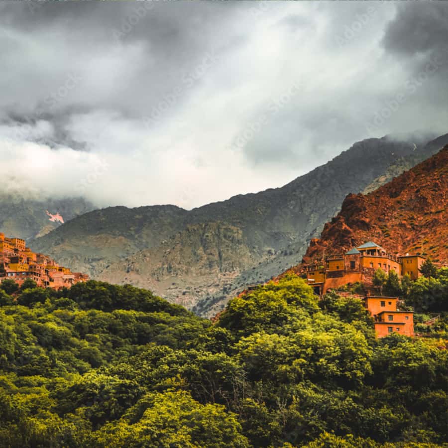 Marrakech: Paragliding, Camel Ride & Berber Villages Trip - From Marrakech to the argan cooperative