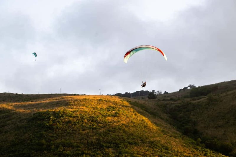 Palermo: paragliding flight with instructor foto and video - Key points before you book
