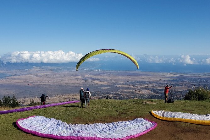 Paraglide Maui's 1K Tandem Paragliding Experience - The grassy landing zone near your start point