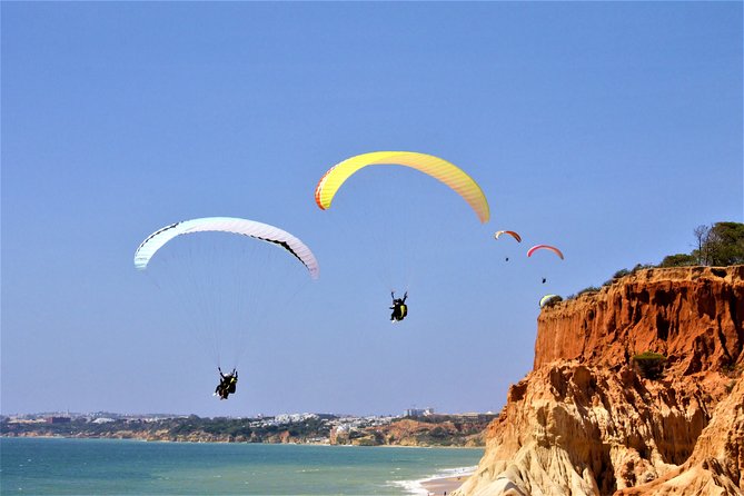 Paragliding Algarve Experience - Landing safely and ending with a grin