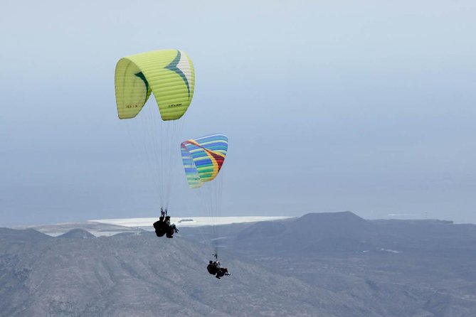 Paragliding Epic Experience in Tenerife with the Spanish Champion Team - Key points to know before booking