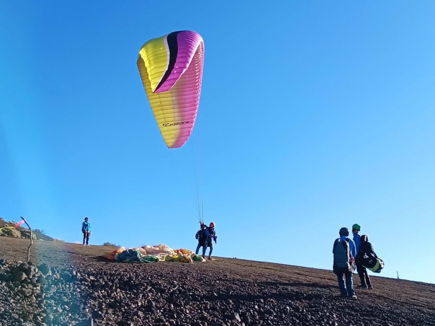 Paragliding from Puerto de la Cruz or Teide National park - Should you book this Tenerife flight?