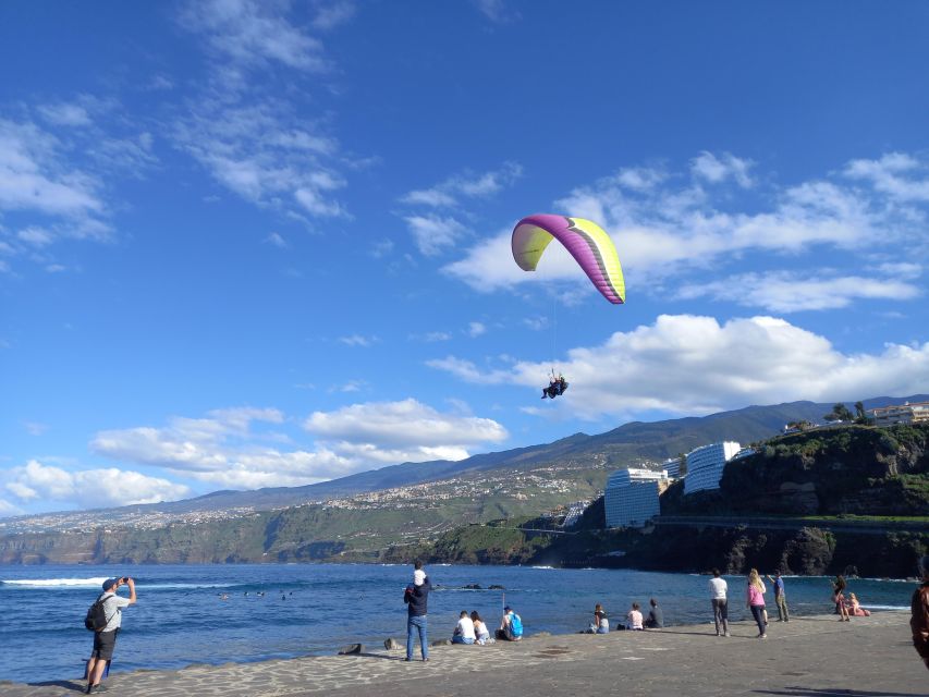 Paragliding from Puerto de la Cruz or Teide National park - Meeting the team in Puerto de la Cruz