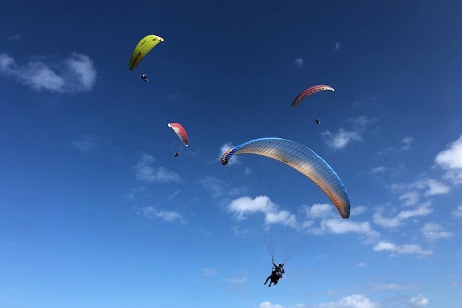 Private Tandem Paragliding Flight in Bizkaia - What the 20-minute flight feels like