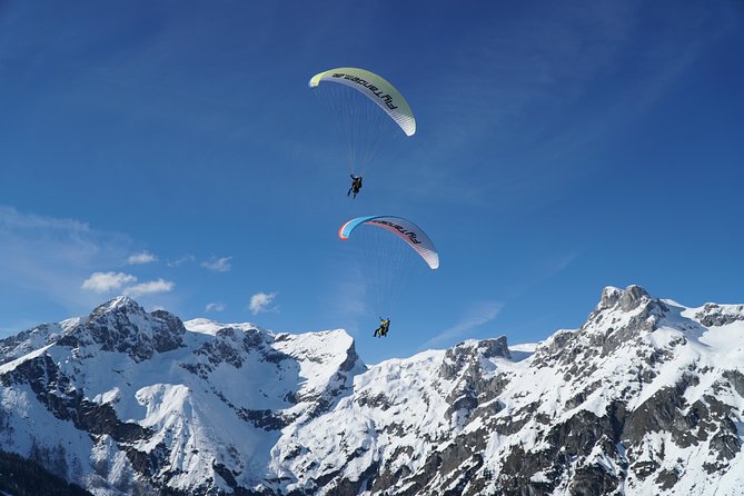Private Tandem Paragliding Werfenweng Mt Bischling - Landing near the Werfenweng meeting point