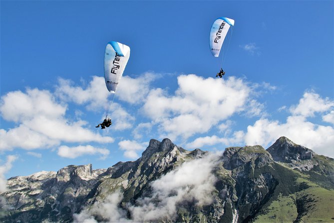 Private Tandem Paragliding Werfenweng Mt Bischling - How the experience suits different people