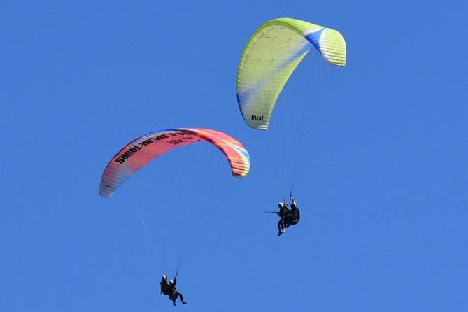 Tandem Paragliding Flights from Vik - Photos, video, and the practical value of the price