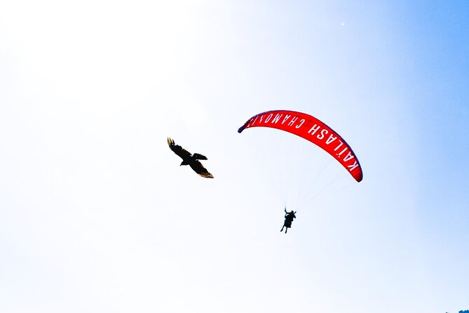 Two-seater paragliding flight in Chamonix - Is $189.57 a fair price?